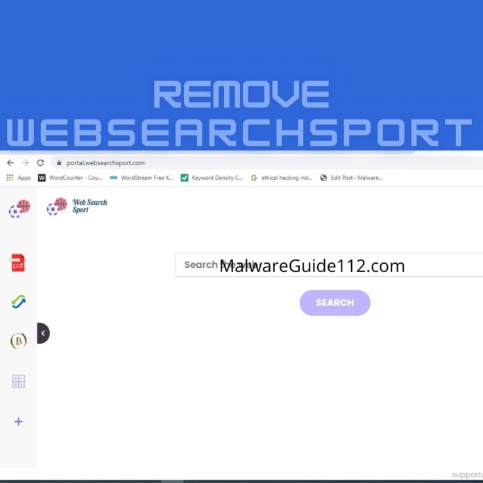 Remove WebSearchSport