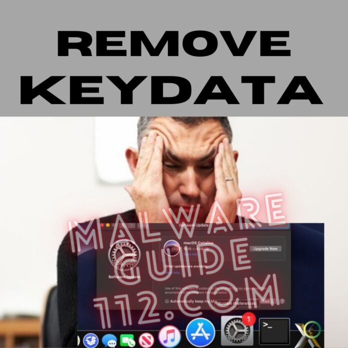 Remove KeyData
